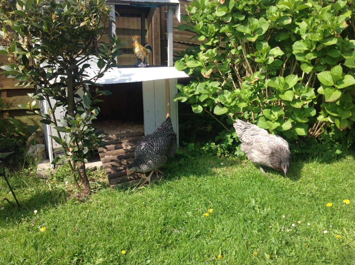 Le Jardin Des Poules Bed & Breakfast Thiétreville Exterior foto